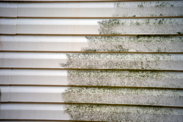 Best Fascia and Soffit Installation  in Barneveld, WI