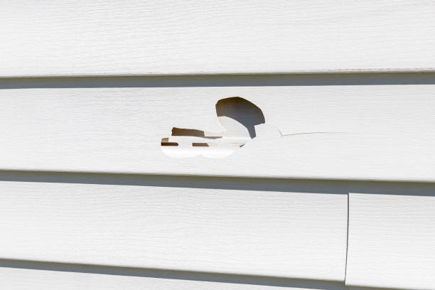 Best Siding for New Construction  in Barneveld, WI