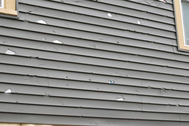 Affordable siding repair and maintenance services in Barneveld, WI