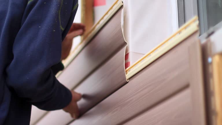 Best Stucco Siding  in Barneveld, WI